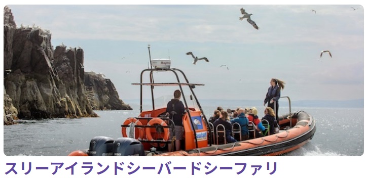 「バスロック」徹底ガイド 【旅の大事典】